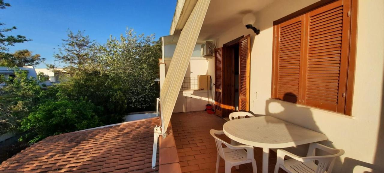Apartment Saracena